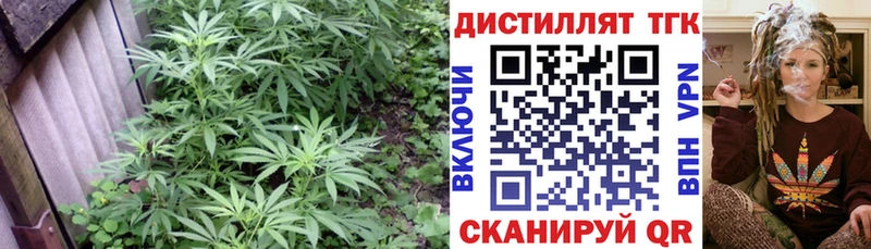 ТГК Wax  Красный Холм 