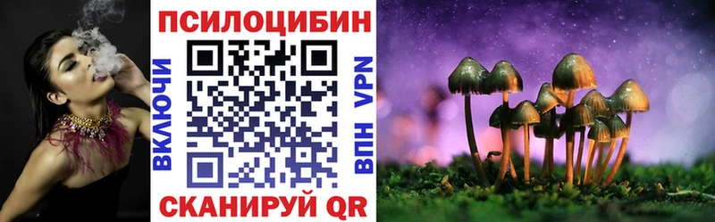 как найти закладки  Красный Холм  Галлюциногенные грибы Cubensis 